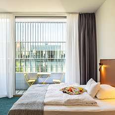 Delxue Balcony Room
