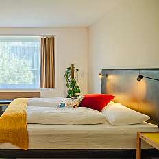Design Premium Room